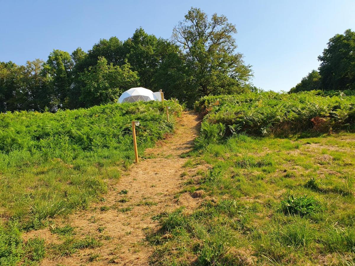 Moulin Du Pommier Glamping & Camping Saulgond Buitenkant foto